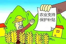 2021年农业补贴方案发布 每亩补贴120元，6月30日前补贴资金打卡到户图片