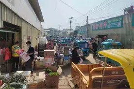 精准打击网购花木骗局，当走出屡禁不止“怪圈”图片