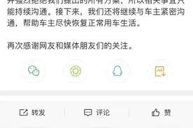特斯拉展台变维权现场，陶琳为何拒绝妥协？大喊“刹车失灵”，她是谁图片
