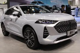 开箱上海车展｜17.98万的摩卡你喝吗？长城WEY开卖“咖啡”图片