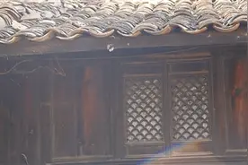 红九军团 梨花依旧在图片
