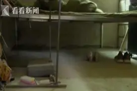 14米长眼镜王蛇钻入宿舍 此时正有人在睡觉...图片