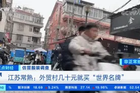 几十元就买“世界名牌”? 严打之下这里假货照卖图片