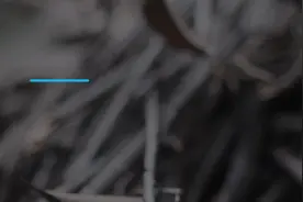 杭州一所大学开设野外生存课，砍柴生火岩降溜索攀树划艇，已成最受欢迎课程图片