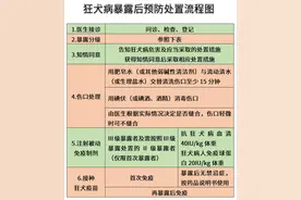 狂犬病的症状表现，你一定要了解图片