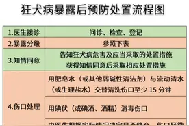 狂犬病的症状表现，你一定要了解图片