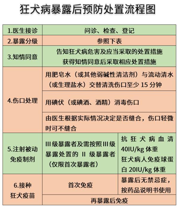 狂犬病有什么症状表现（狂犬病的症状表现）