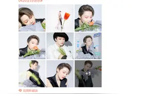刘雨昕生日写真大片上演侧颜杀 造型百变可盐可甜图片