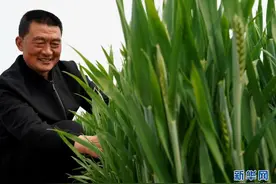“148”——这里春耕“静悄悄”的秘密图片