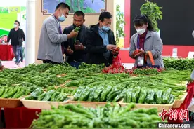 第22届中国（寿光）国际蔬菜科技博览会在山东寿光开幕图片