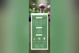 徐州已迎来“谷雨”，其他地区准备“接棒”！明后天以下地区有大雨图片