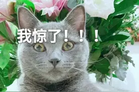 有的人回收高档酒瓶，拿去干了啥？图片