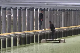 上海崇明丨裕安养殖场渔光互补项目，“上可发电、下可养鱼”视频封面