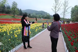 来西安高新赏山水、觅花海、看展览，和秦岭国家植物园的完美邂逅图片