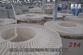 专家揭露BCI制裁新疆棉花全过程视频封面