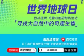 世界地球日，澎湃新闻带你一起寻找大自然中的“奇趣生物”图片
