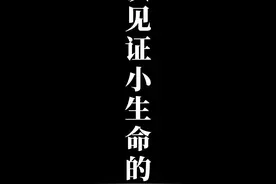 新青年|妇产科男护士丁龙强：第一次见证小生命的诞生视频封面