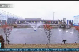 泰州海陵罡门村：发展鲜花产业，让百姓生活像花一样幸福视频封面