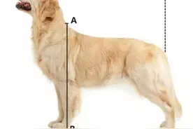 日照5月1日起，正式施行图片