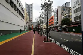 图说南阳 | 文化宫街大变样图片