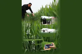 春耕春管｜“148”——这里春耕“静悄悄”的秘密图片