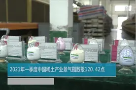 2021年一季度中国稀土产业景气指数报120.42点视频封面