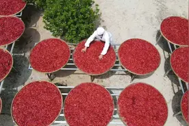 江西乐安县“辣酱大叔”的致富经：一人富不是富 一起富才是富图片