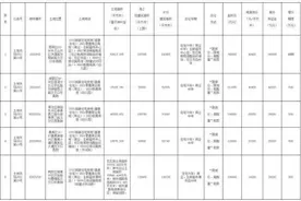 厦门市190亿元成功出让5宗地块 中海、正荣、远洋等各有斩获图片