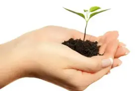 痴迷路上二十年 家毁人亡终醒悟图片