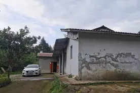 独家起底“抱摔3岁女孩”被拘男子：村民称他很“凶”，曾打伤人离家十余年图片