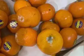 合肥一幼儿园被指使用变质果蔬，市监局：正调查，结果会公示视频封面