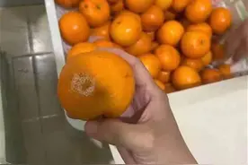 家长突击检查合肥一幼儿园厨房，竟看到发芽土豆和腐烂果蔬，多部门介入调查图片