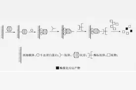 新国标落地后，腐植酸（海藻酸）精准检测难吗？看完你就懂了图片