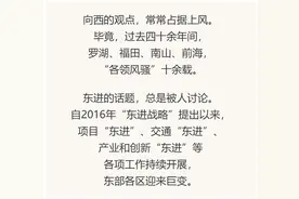 深圳的“东”与“西”图片