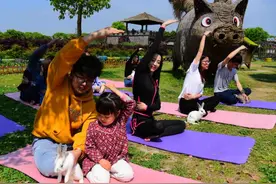 桐乡猪舍里上演山羊瑜伽，游客趣味休闲迎劳动节图片