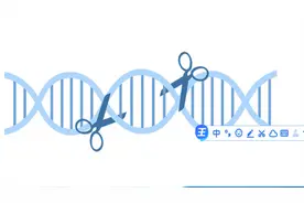 资本“围堵”基因编辑行业：技术走向成熟还有多远？图片