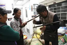 四川一火车上有猪羊成群穿行，场面壮观！列车长揭秘背后故事图片