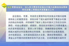 区委常委会会议：深入学习贯彻市实施乡村振兴战略现场会精神 研究部署二季度经济发展重点工作视频封面