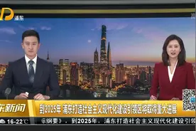 到2025年 浦东打造社会主义现代化建设引领区将取得重大进展视频封面