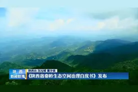 秦岭生态空间如何治理，这本白皮书里有答案图片