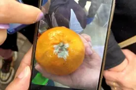 家长突击查出霉变食品！事发合肥一幼儿园！多部门介入……图片