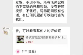 活鳄鱼蜘蛛蟑螂都能寄？快递业应上好安全锁图片