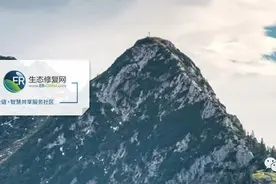 「专家观点」刘奇：中国乡村百年：从“运而不动”到“振而即兴”图片