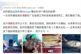 海豚搁浅死亡胃中发现两只橡胶手套……别让悲剧重演图片