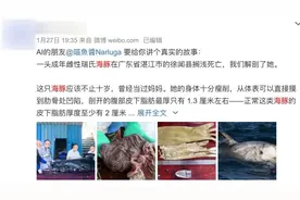 海豚搁浅死亡胃中发现两只橡胶手套……别让悲剧重演图片