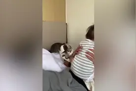 保护欲爆棚！猫咪咬主人手臂让他放开哭泣的婴儿图片