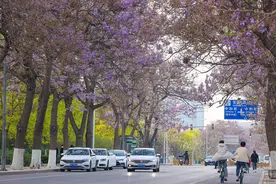 一街一景花满园，快来北京亦城打卡图片