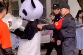 男生穿熊猫装持鲜花校园内表白，被保安“截胡”，心疼又好笑图片