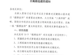 8000万元“悬赏”！长沙发布10个“揭榜挂帅”重大科技项目选题图片