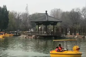 淄博在全国第二个明确提出要建设全域公园城市，底气何来？图片